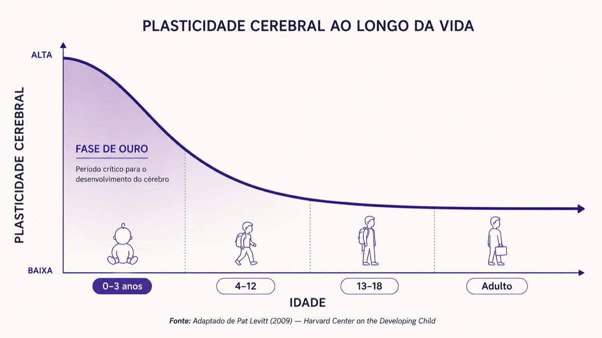 Gráfico mostrando a curva de plasticidade cerebral ao longo da idade, com pico nos primeiros 0-3 anos (fase de ouro) e declínio progressivo até a idade adulta